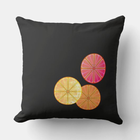 レトロシトラススライス装飾用クッション アウトドアクッション (正面)