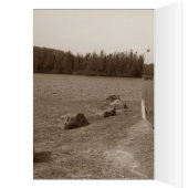 レトロシャイニートリップトラベルキャンピングトレーラーキャンパーおもしろい (内側 (左))