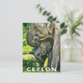 レトロスタイルはがきアジアンゾウ ポストカード (スタンド正面)