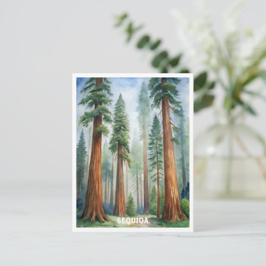 レトロセコイア国立公園 ポストカード (スタンド正面)