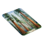 レトロセコイア国立公園 マグネット (右側)