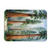 レトロセコイア国立公園 マグネット (横)