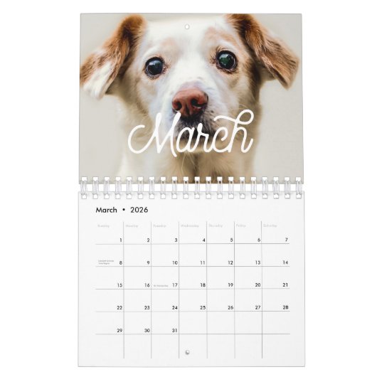 レトロタイポグラフィファミリー写真2023 カレンダー (3月 2026)