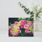 レトロデイジー2 ポストカード (スタンド正面)