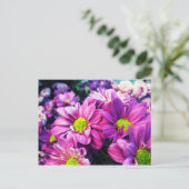 レトロデイジーI ポストカード (スタンド正面)