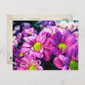 レトロデイジーI ポストカード (正面/裏面)