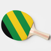 レトロトロピカルパはっきりしたメストライプの 卓球ラケット (横)