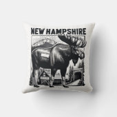 レトロニューハンプシャー クッション (裏面)