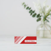 レトロバレーボール スキニー名刺 (スタンド正面)