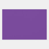 レトロパステルピンクパープルフローラシームレスパターン ラッピングペーパーシート (正面3)