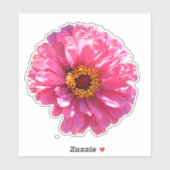 レトロピンクフローラピンクの花ピンクのデイジーひまわり シール (シート)