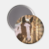 レトロピント マグネット (正面/裏面)