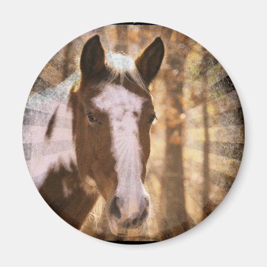 レトロピント マグネット (正面)