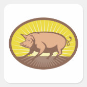 レトロファームピグ日が差すこと スクエアシール (正面)