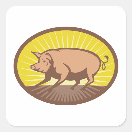 レトロファームピグ日が差すこと スクエアシール (正面)