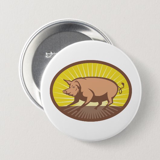 レトロファームピグ日が差すこと 缶バッジ (正面&裏面)