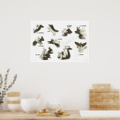 レトロフランスのヴィンテージ形状 ポスター (キッチン)