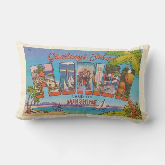 レトロフロリダグリーティング装飾用クッション アウトドアクッション (裏面)