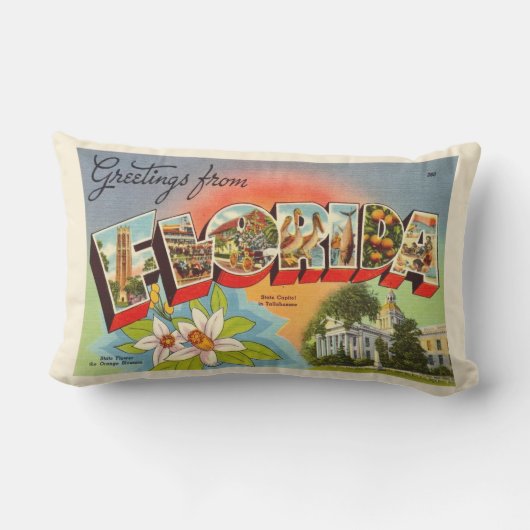 レトロフロリダポストカードグリーティング装飾用クッション アウトドアクッション (裏面)