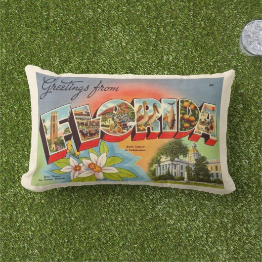 レトロフロリダポストカードグリーティング装飾用クッション アウトドアクッション (芝生)