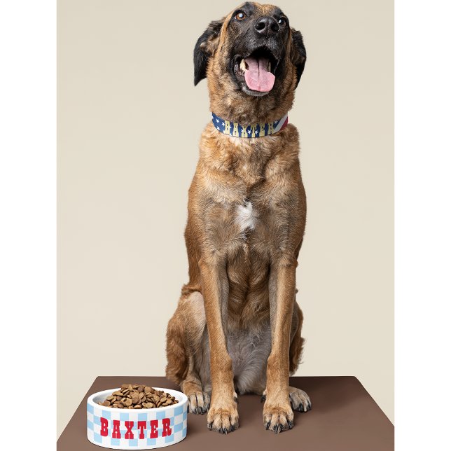 レトロブルー白市松模様に犬子猫の名前フード ボウル (Retro Blue White Checkered Dog Puppy Cat Name Food Bowl)
