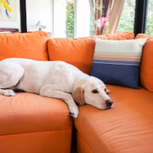 レトロブルー&ピーチストライプのピロー