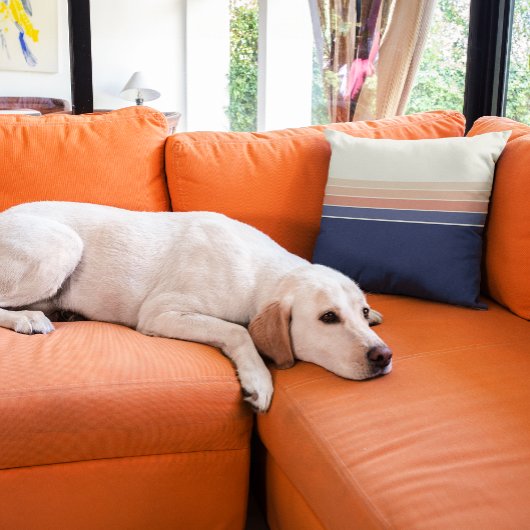 レトロブルー&ピーチストライプのピロー クッション