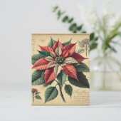 レトロポインセチアフェスティバルボタニカルスクラップブック紙 (スタンド正面)