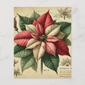 レトロポインセチアフェスティバルボタニカルスクラップブック紙 (裏面)