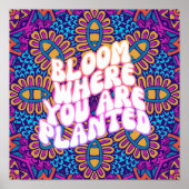 レトロマンダラ開花が植えられている場所 ポスター (正面)