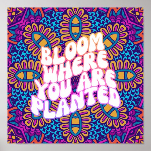 レトロマンダラ開花が植えられている場所 ポスター (正面)