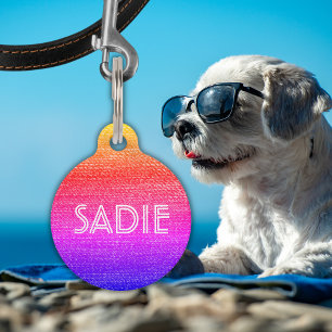 レトロレインボードッグまたは猫の名前と情報 ペット ネームタグ