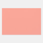 レトロレインボーフラワーズピンク&コーラル ラッピングペーパーシート (正面3)