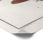 レトロヴィンテージかわいいフグ魚動物学的スケッチ ポスター (角)