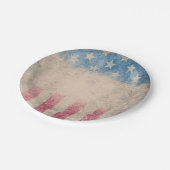 レトロヴィンテージの星とストライプ ペーパープレート (アングル)