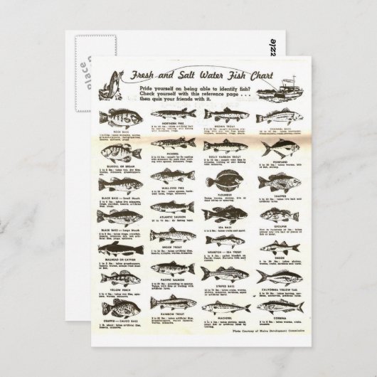 レトロヴィンテージメンズ魚釣り表 –  ポストカード (正面/裏面)