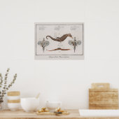 レトロヴィンテージ動物園シーホーススケッチ ポスター (キッチン)