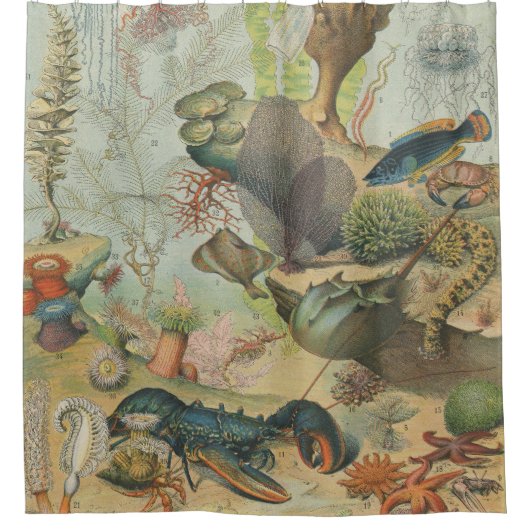 レトロヴィンテージ海洋生物学海魚 シャワーカーテン (正面)