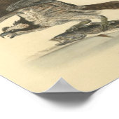 レトロヴィンテージ魚類のスケッチ ポスター (角)