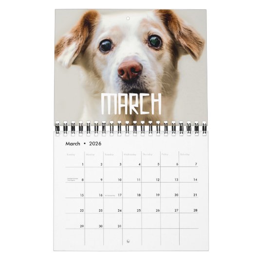 レトロヴィンテージ50sタイポグラフィファミリフォト2026 カレンダー (3月 2026)