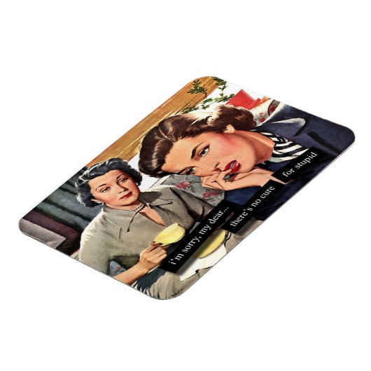 レトロ主婦1950s "愚かな"磁石のための治療法なし マグネット (左側)