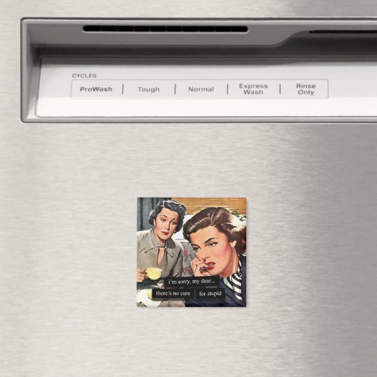 レトロ主婦「馬鹿のための治療法はない」 マグネット (インサイチュ (食洗機))