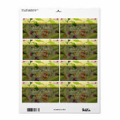 レトロ抽象芸術フローラコラージュ ラベル (フルシート)