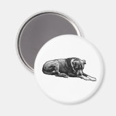 レトロ時計犬マグネット マグネット (正面/裏面)
