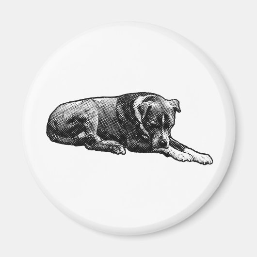 レトロ時計犬マグネット マグネット (正面)