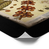 レトロ植物画像コーヒー ポスター (角)