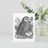 レトロ浮きフクロウスケッチ ポストカード (スタンド正面)
