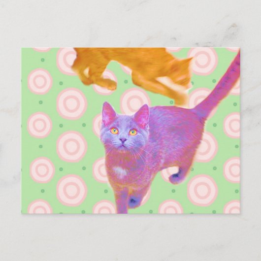 レトロ猫ちゃんカード ポストカード (正面)