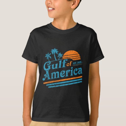 レトロ米国湾2025アメリカ国旗M Tシャツ (正面)