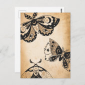 レトロ色あせた黒い蛾タンヴィンテージ羊皮紙 ポストカード (正面/裏面)